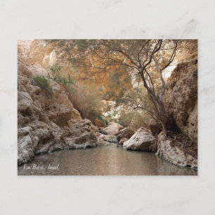 Ein Bokek, Israel. Postkarte