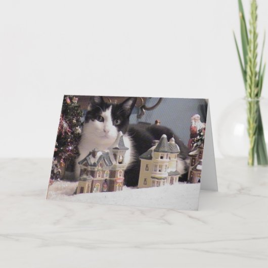 Ein Boo Boo Weihnachten (Vorderseite)