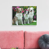ein Border Collie, blue-merle, und zwei Australia Leinwanddruck (Insitu (Wohnzimmer))