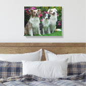 ein Border Collie, blue-merle, und zwei Australia Leinwanddruck (Insitu (Schlafzimmer))