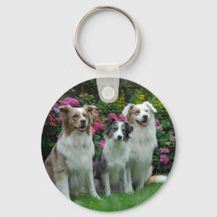 ein Border Collie, blue merle, und zwei Australien Schlüsselanhänger