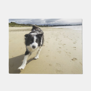 Ein Border-Collie-Hund, der auf den Strand läuft Fußmatte