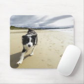 Ein Border-Collie-Hund, der auf den Strand läuft Mousepad (Mit Mouse)