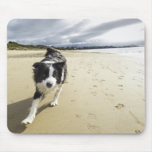 Ein Border-Collie-Hund, der auf den Strand läuft Mousepad (Vorne)