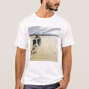 Ein Border-Collie-Hund, der auf den Strand läuft T-Shirt