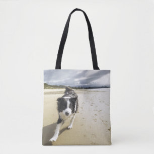 Ein Border-Collie-Hund, der auf den Strand läuft Tasche