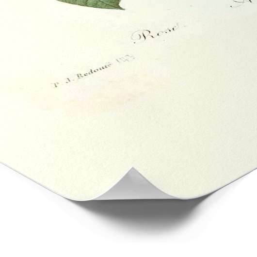 Ein Bouquet an Blume Poster (Ecke)