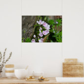 Ein Bouquet von Carolina Spring Beauty Poster (Küche)