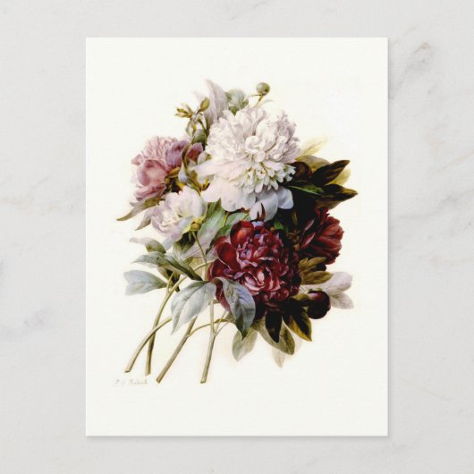 Ein Bouquet von Peonies von Pierre-Joseph Redouté Postkarte (Vorderseite)