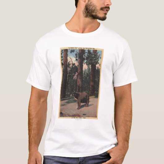 Ein Braunbär im Holz T-Shirt (Vorderseite)