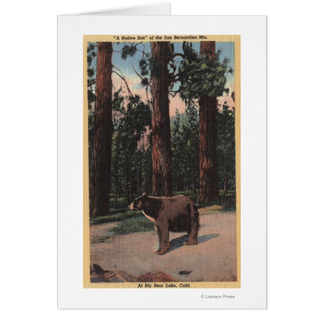 Ein brauner Bär im Wald (Vorne)