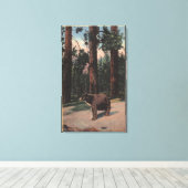 Ein brauner Bär im Wald Leinwanddruck (Insitu (Holzboden))