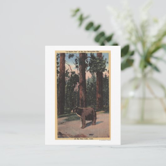 Ein brauner Bär im Wald Postkarte (Stehend Vorderseite)