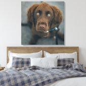 Ein brauner Hund. Leinwanddruck (Insitu (Schlafzimmer))