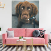 Ein brauner Hund. Leinwanddruck (Insitu (Wohnzimmer))