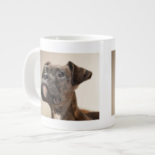 Ein Brindle Boxer Welpe, der neugierig nach oben s Jumbo-Tasse