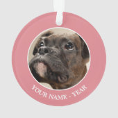 Ein Brindle Boxer Welpe, der neugierig nach oben s Ornament (Rückseite)