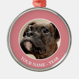Ein Brindle Boxer Welpe, der neugierig nach oben s Silbernes Ornament