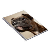 Ein Brindle Boxerwelpe, der oben neugierig schaut Notizblock (Rechte Seite)