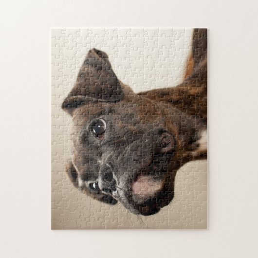 Ein Brindle Boxerwelpe, der oben neugierig schaut Puzzle (Vertikal)