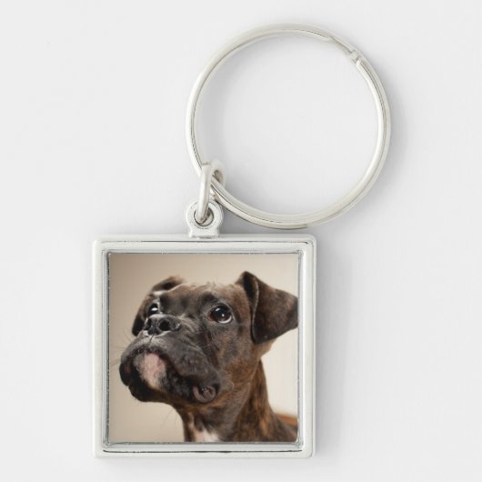 Ein Brindle Boxerwelpe, der oben neugierig schaut Schlüsselanhänger (Vorne)