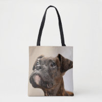 Ein Brindle Boxerwelpe, der oben neugierig schaut