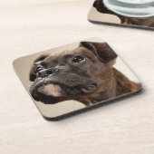 Ein Brindle Boxerwelpe, der oben neugierig schaut Untersetzer (Linke Seite)