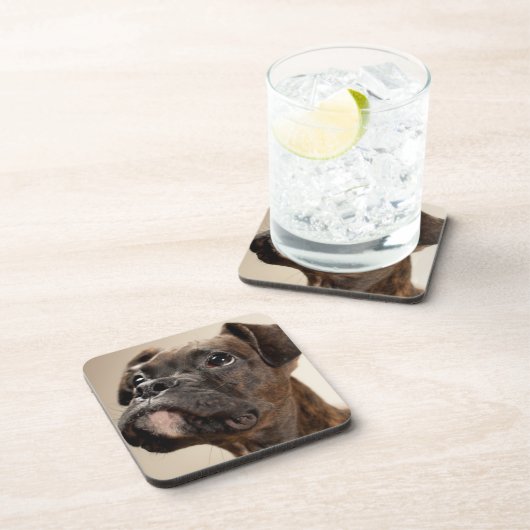 Ein Brindle Boxerwelpe, der oben neugierig schaut Untersetzer (Rechte Seite)