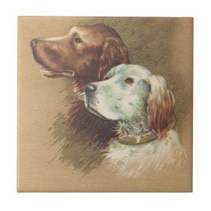 Ein Brown und ein weißer Hund Fliese