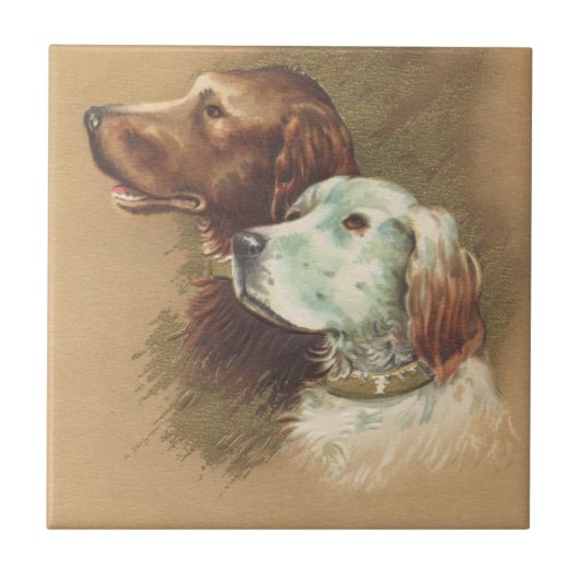 Ein Brown und ein weißer Hund Fliese (Vorderseite)