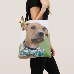 Ein Brown-Welpe trägt eine bunte Bogen-Krawatte Tasche