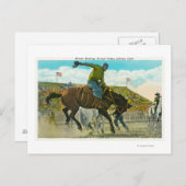 Ein Bucking-Bronco im Salinas Rodeo Postkarte (Vorne/Hinten)