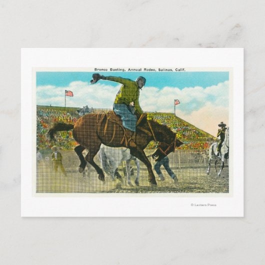 Ein Bucking-Bronco im Salinas Rodeo Postkarte (Vorderseite)