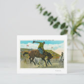 Ein Bucking-Bronco im Salinas Rodeo Postkarte (Stehend Vorderseite)