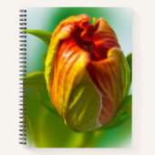 Ein Bud Notizblock (Vorderseite)