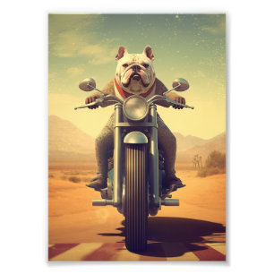 Ein Bulldog fährt ein Motorrad auf einer Wüstenstr Fotodruck