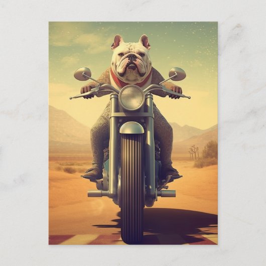 Ein Bulldogge fährt ein Motorrad in der Wüste Postkarte (Vorderseite)