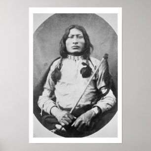 Ein Bullenkrieger, 1882 (b/w-Foto) Poster