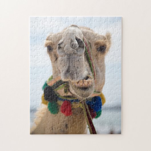 Ein Camel Smile Puzzle (Vertikal)