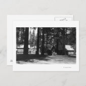Ein Campingplatz Postkarte (Vorne/Hinten)
