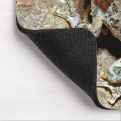 Ein Canyon Treefrog Mousepad (Ecke)