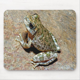 Ein Canyon Treefrog Mousepad