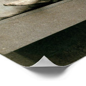 Ein Centaur, der über einen Lapith triumphiert Poster (Ecke)