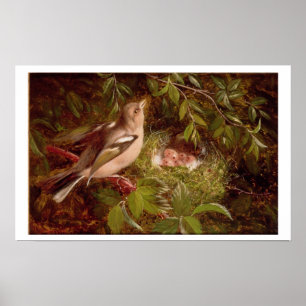 Ein Chaffinch an seinem Nest, 1877 (Öl auf Platte Poster