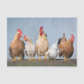 Ein Chaotic Chicken Portrait Pt 1 Tissue Seidenpapier (Vorderseite)