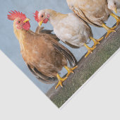 Ein Chaotic Chicken Portrait Pt 1 Tissue Seidenpapier (Ausschnitt)