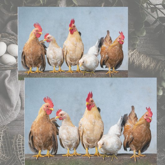 Ein Chaotic Chicken Portrait Pt 1 Tissue Seidenpapier