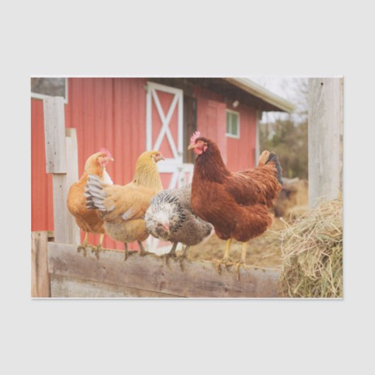 Ein Chaotic Chicken Portrait Teil 2 Seidenpapier (Vorderseite)