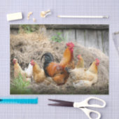 Ein Chaotic Chicken Portrait Teil 3 Seidenpapier (Handwerk)