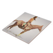 Ein Cheyenne Brave, 1901 (Farbelitho) Fliese (Seite)